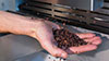 Winnower roasted cocoa bean crusher